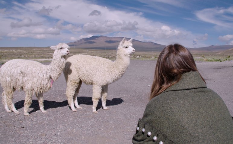 02_FashionReimagined_Amy+Llamas©Fashion Reimagined Ltd