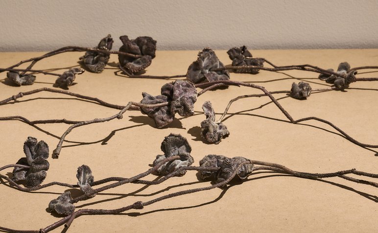 041_Craft_InTheMaking_Install_C_Armstrong_2025