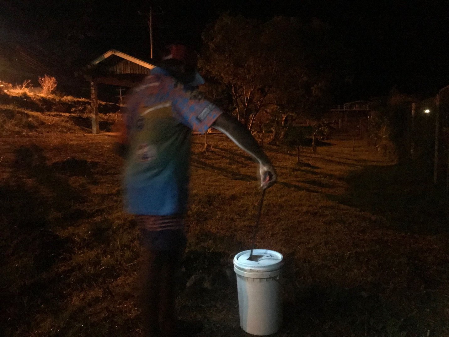 127005348_vermin_-_toad_busting_with_local_kids_ (1).jpg