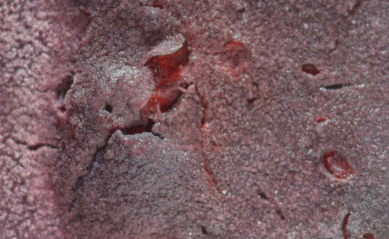 188679522_bronwynsargeson.pilipeek2025.7.5