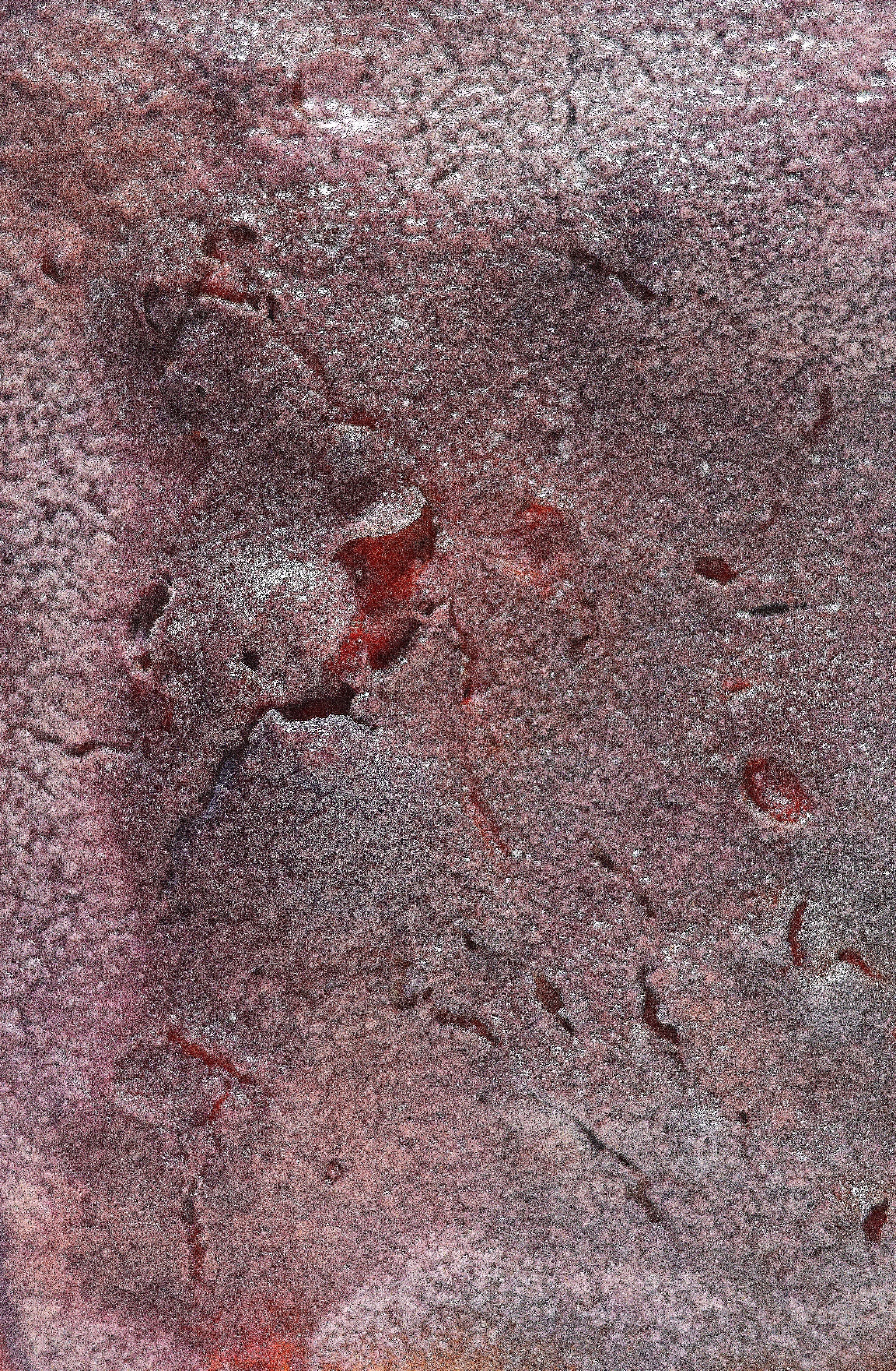 188679522_bronwynsargeson.pilipeek2025.7.5