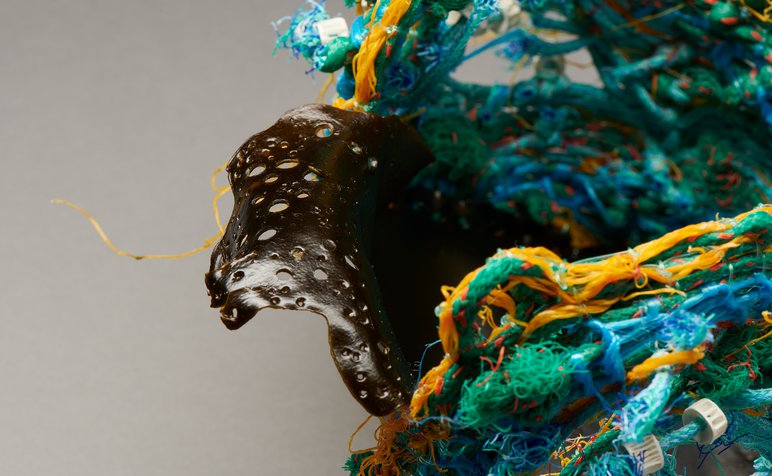 Beverley Meldrum0086.jpg