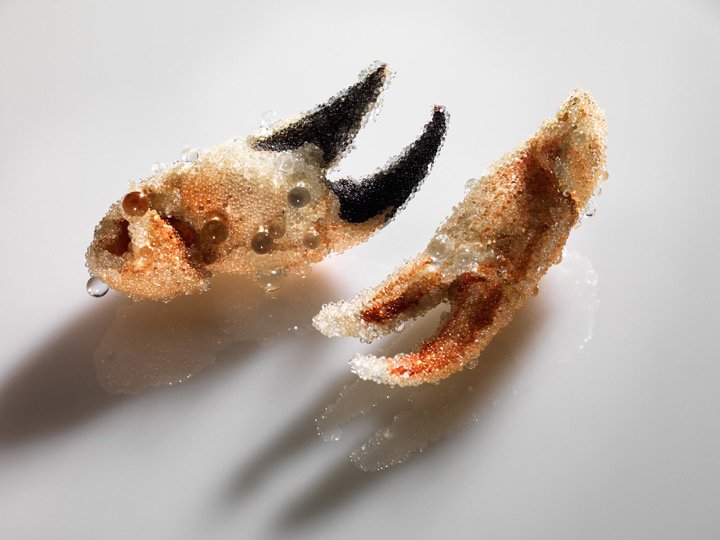 CTruman_No+Surface+Holds_Crab+Claw+Installation_2015-17.jpg