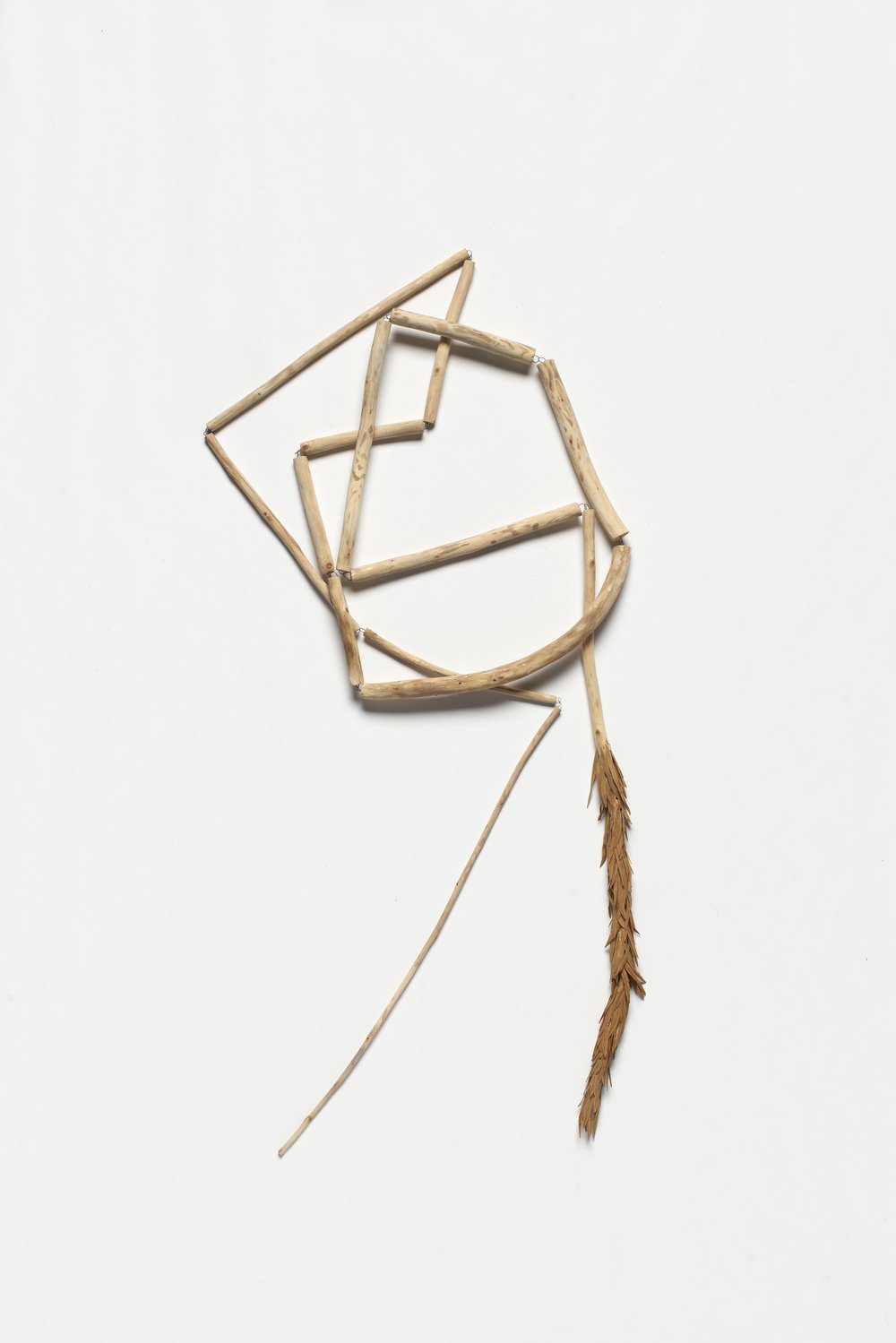 Cara+Johnson+creek+2016+crack+willow%2c+iron%2c+paper+Image+Jeremy+Dillon.jpeg