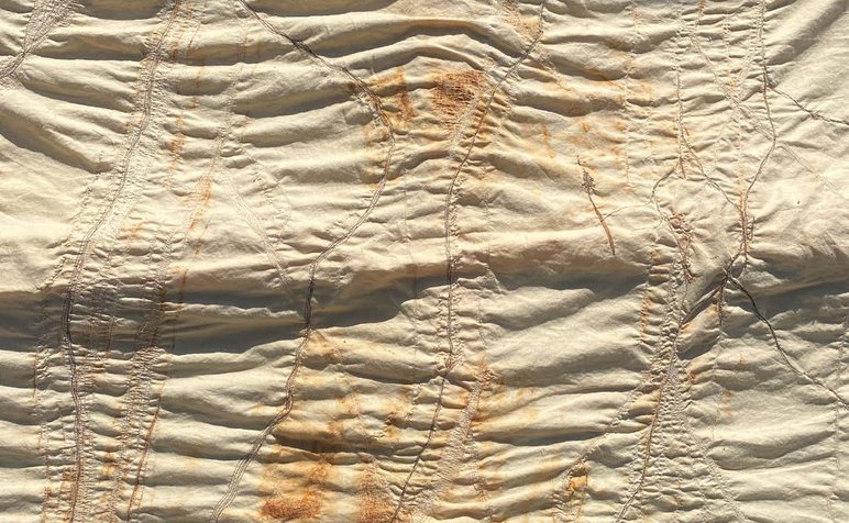 Catalogue_Lucinda Johnson-Cornes