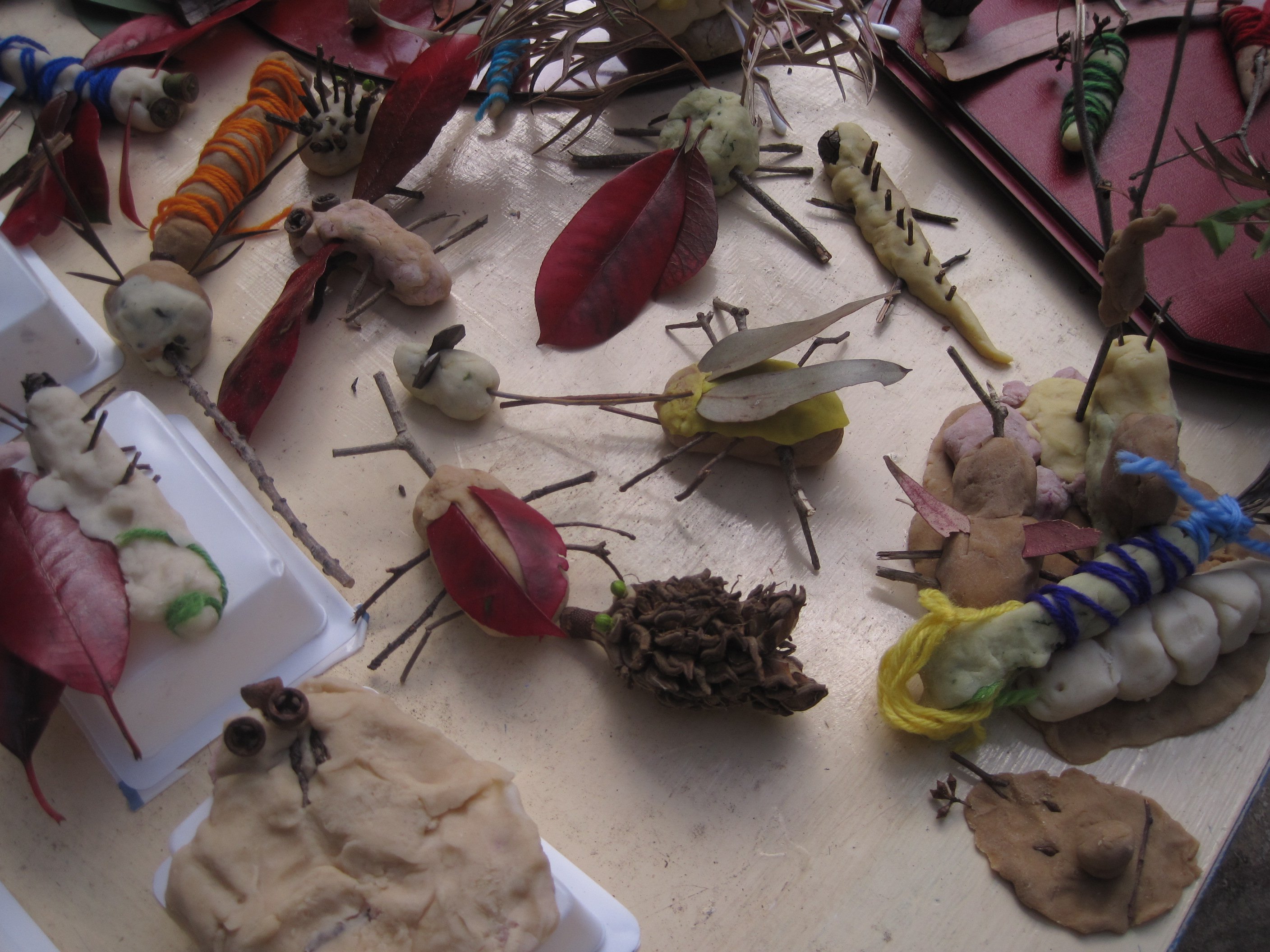 Chaco Kato Nature R Us.jpg