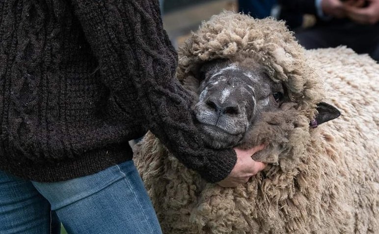 Drop Spindle_Flissy Johnson_1