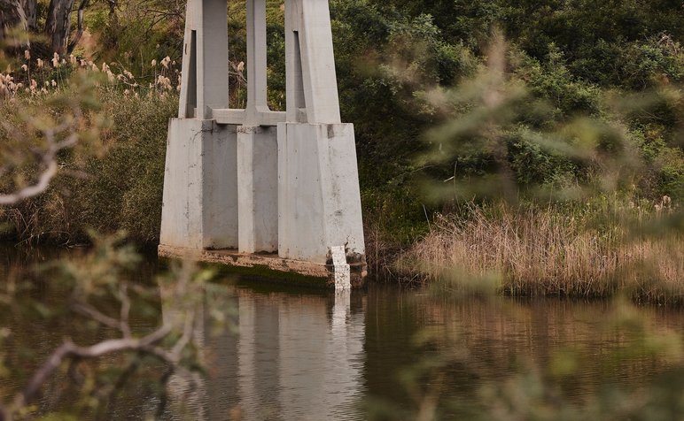 IMG_5528-HighRes-MPham