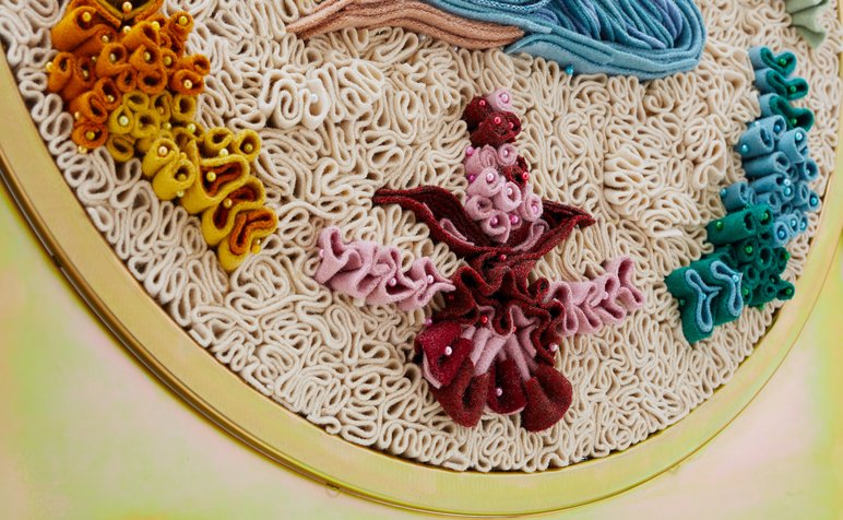 I GO TO THE DEPTH OF THE OCEAN WITHING THE BODY OF A WOMAN_FRONT_04 (1)