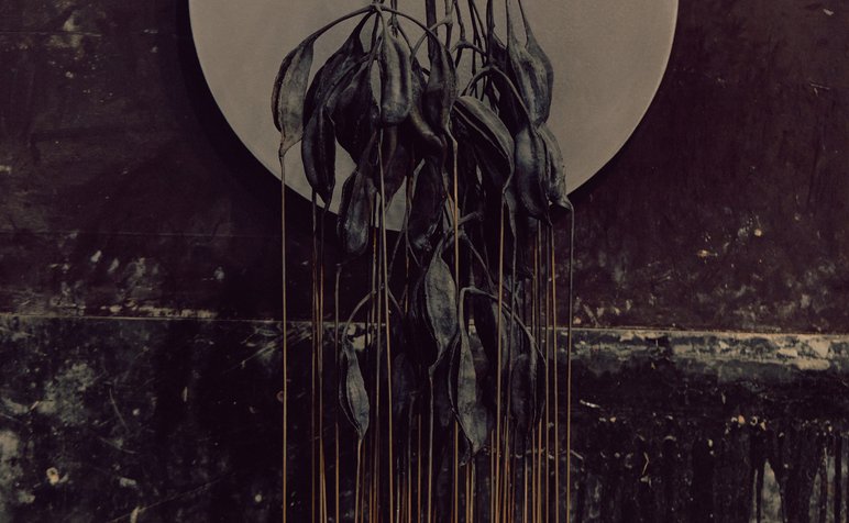 JW OIGALL_046-hi res