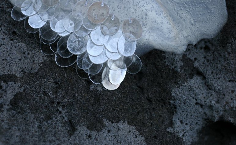 Lauralai Wilson Skin.jpeg