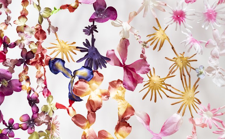 Louise Meuwissen 20230918 HR-15