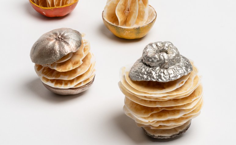 QIANXUNLI_Fruit series (1)