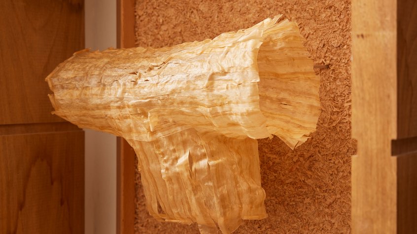 Bolaji-Teniola_Reformer_Vitrine-2023