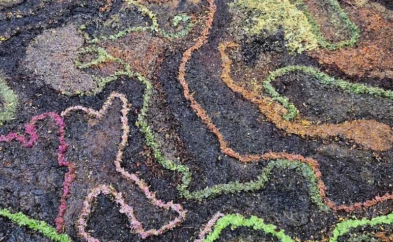 Rochelle Morris_407263322_885496846230660_502906690334494590_n