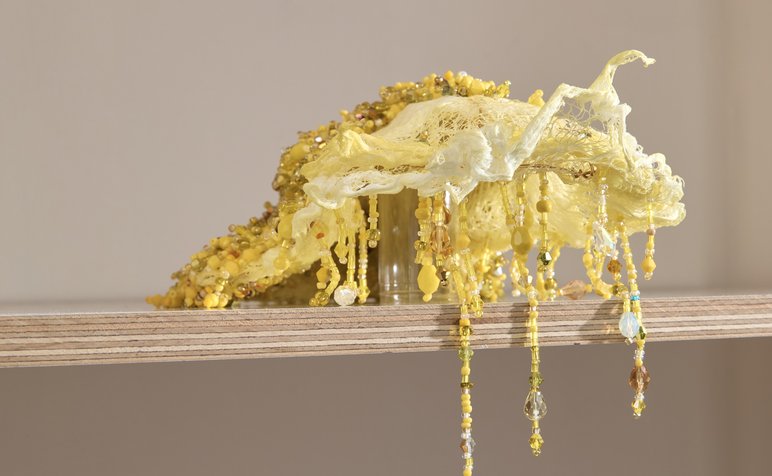 _INTERTIDAL_SF_240205 5