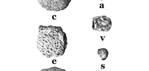 CAVES Gallery