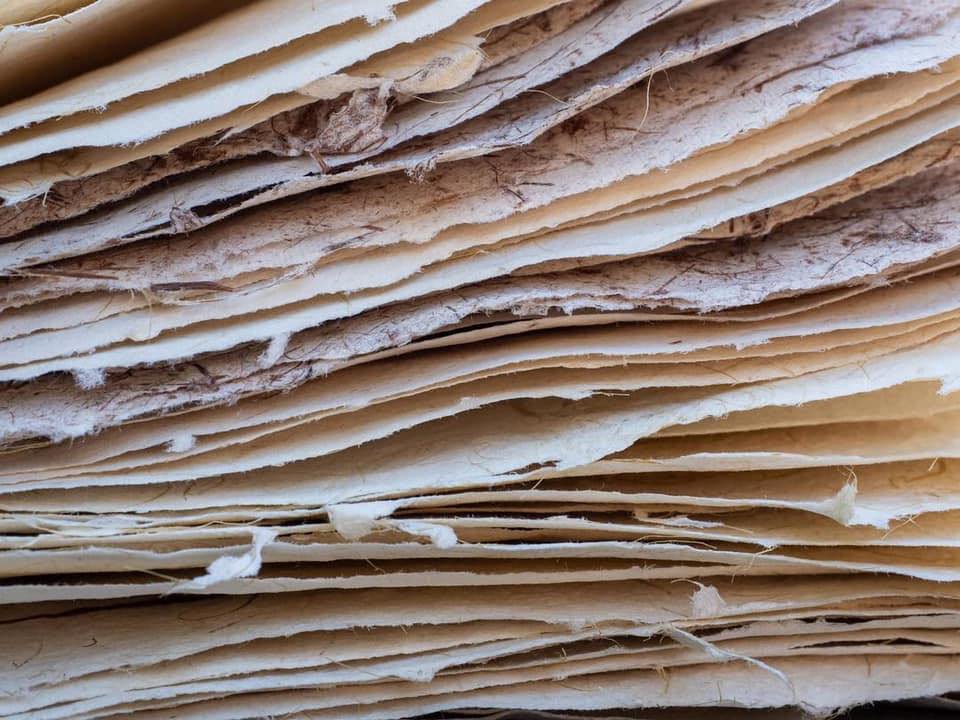 papermakers of Victoria.jpeg