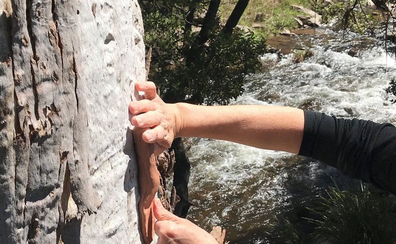 Robyn Phelan working.jpeg